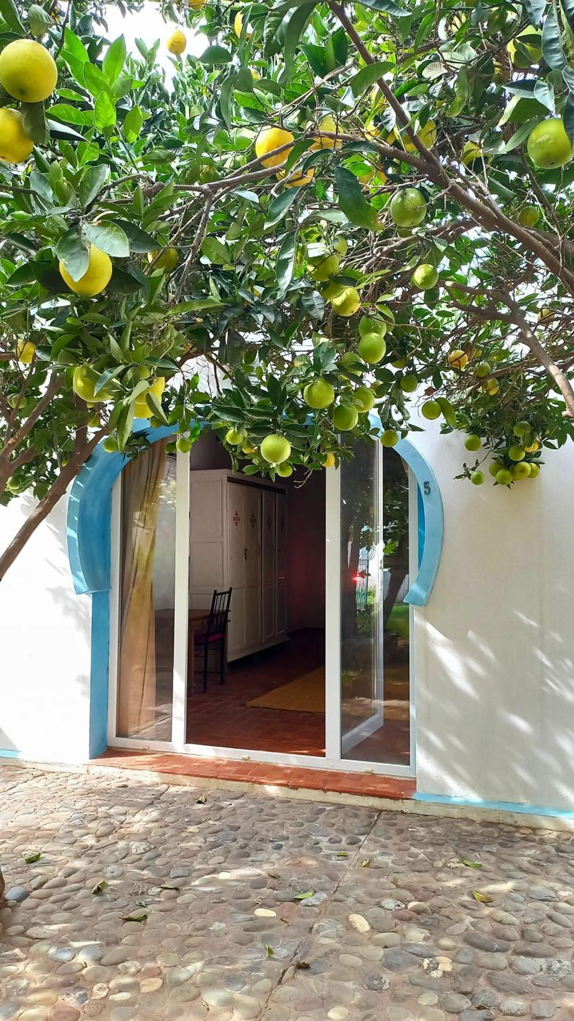 Rayani Maison D'Hotes Chozas Экстерьер фото